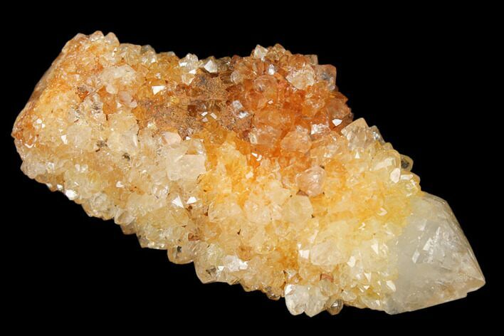 Sunshine Cactus Quartz Crystal - South Africa #122342